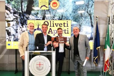 Al via Oliveti Aperti 2022 con degustazioni, convegni, natura, arte e cultura