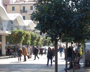 Piazza Cavour, c&#039;è l&#039;idea progettuale vincente