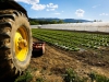 Agricoltura, dal 2010 in Liguria hanno chiuso un quarto delle imprese