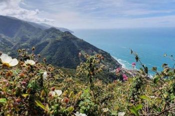 Cinque Terre, confermato il senso unico sul sentiero Verde Azzurro da Monterosso a Vernazza