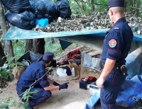 Arrestato nel bosco: cocaina, hashish e un bilancino di precisione