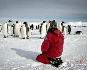 Conclusa la missione dei palombari del Comsubin in Antartide: il reportage di quattro mesi immersi tra&#8230;
