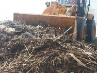 CNA: Regione autorizzi lo smaltimento del legname