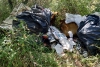 Abbandono di rifiuti nel bosco: in due sanzionati dai Carabinieri Forestali