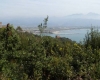 Isola Ecologica: promessa mantenuta ad Ameglia