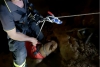 Cane cade in una forra di 15 metri, salvato dai Vigili del Fuoco