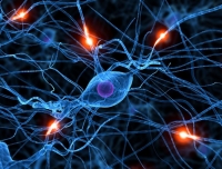 Neurologia aderisce alla Giornata per le malattie neuromuscolari