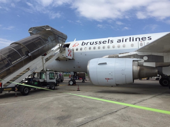 &quot;Salvataggio del Bruegel&quot;: la delegazione castelnovese in partenza per Bruxelles