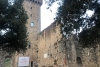 700 anni di Dante, Castelnuovo partecipa alla quinta edizione del collegamento torciero