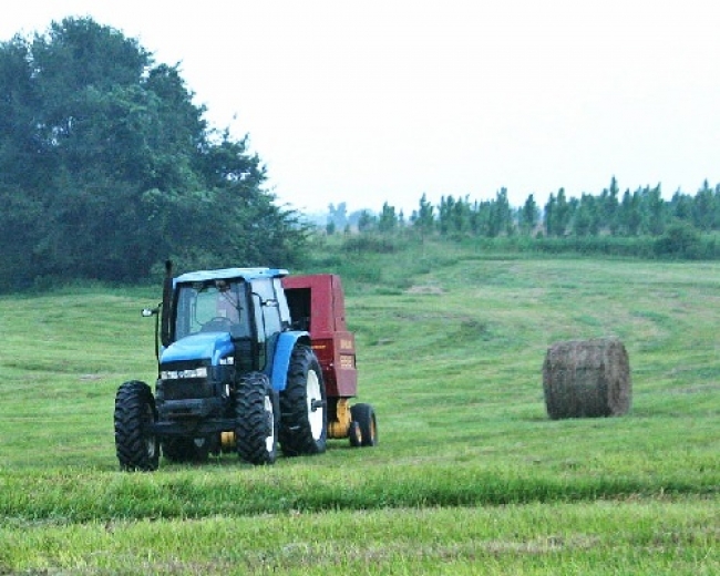 Guida e revisione macchine agricole, incontro a Castelnuovo