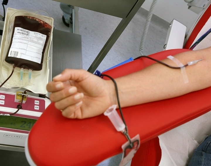 Giornata mondiale del donatore di Sangue, AVIS ringrazia i volontari