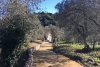 Visite “a piccoli passi” alla scoperta della Villa del Varignano