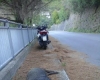 Monterosso, ragazza in scooter investe cinghiale: trasportata al Sant&#039;Andrea