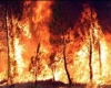Incendio colposo, denunciato un coltivatore