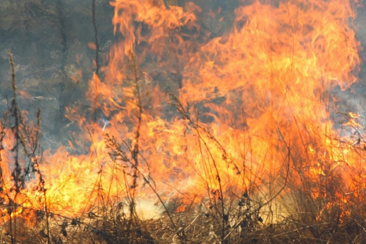 Antincendio boschivo: in Liguria incendi ridotti del 50%