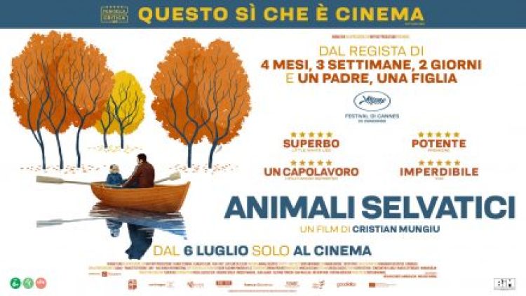 Animali Selvatici da Cannes al Cinema Il Nuovo