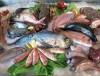 Natale, il pesce della Liguria protagonista sulle tavole del Nord Italia
