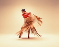 Flamenco e Afro Brasil: stage di ballo con l&#039;Associazione Labulè