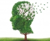Giornata mondiale dell’Alzheimer: &quot;Obiettivo: promuovere e sostenere&quot;