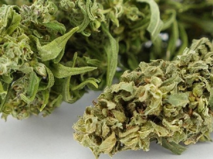 I prodotti più innovativi alla cannabis legale
